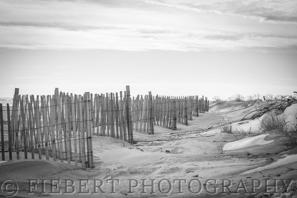 Fence in the Dunes