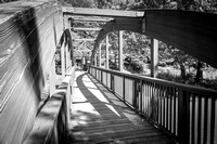 Footbridge at Trexler Nature Preserve, PA