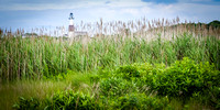 Montauk Lighthouse from Reed Pond Panorama