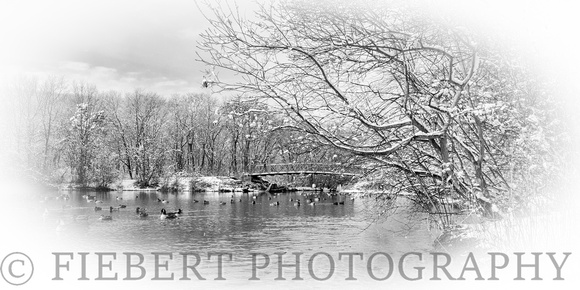Massapequa, Brady Lake in Winter B&W  Panorama