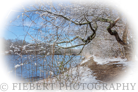 Massapequa, Brady Lake in Winter